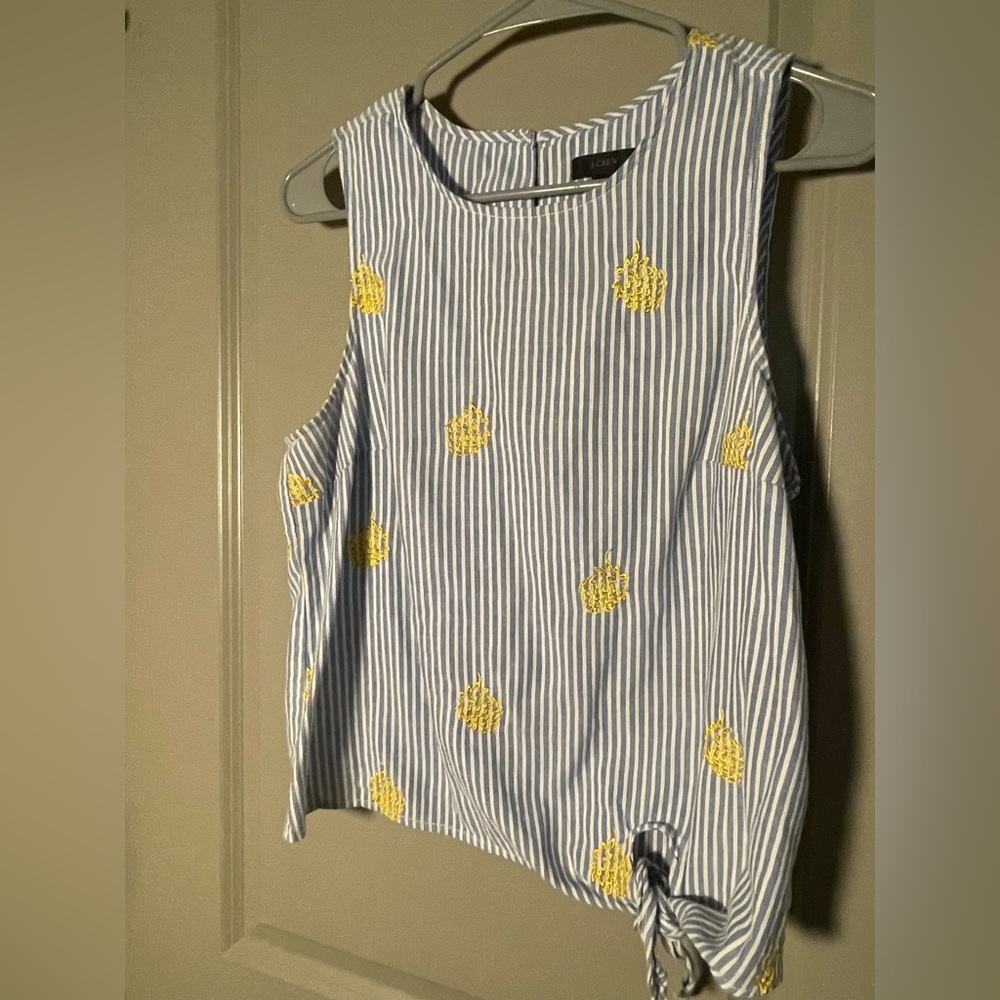 Jcrew striped top with embroidered detail